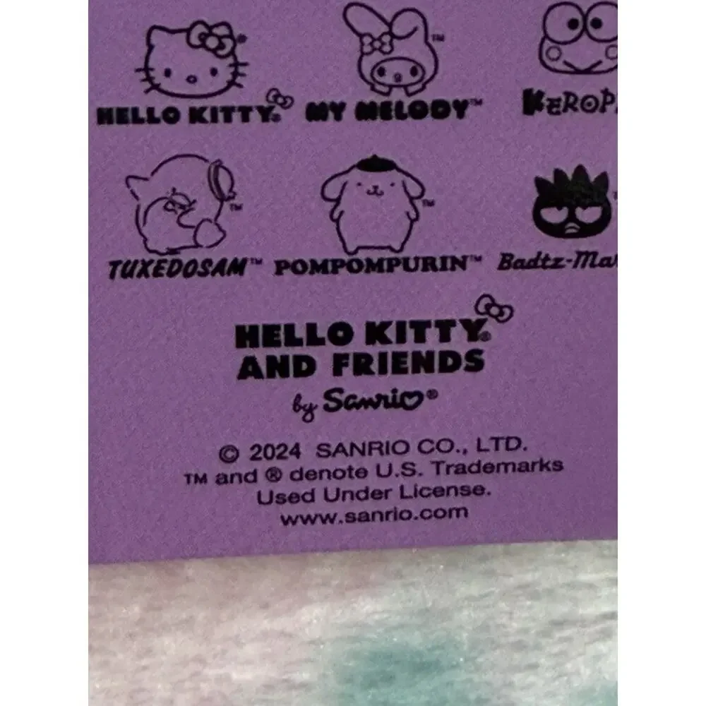 Hello Kitty & Friends Throw Blanket Silk Touch 50x70 Springy Keroppi 2024 Sanrio